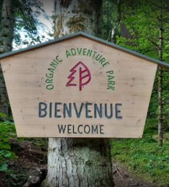 🌲 Organic Adventure Park – Champéry