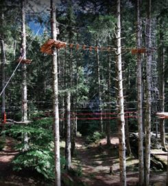 🌲 Organic Adventure Park – Champéry