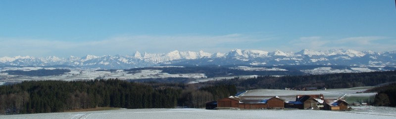 Le panorama en hiver. Bois des Brigands, Thierrens
