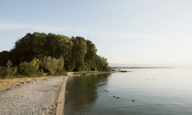 🏖️ Plage du Parc de la Bécassine – Versoix