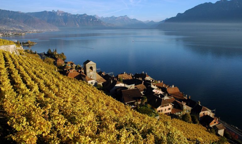 🏘️ Village de St-Saphorin