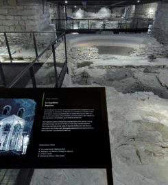 🏠 Site Archéologique de la Cathédrale Saint-Pierre de Genève