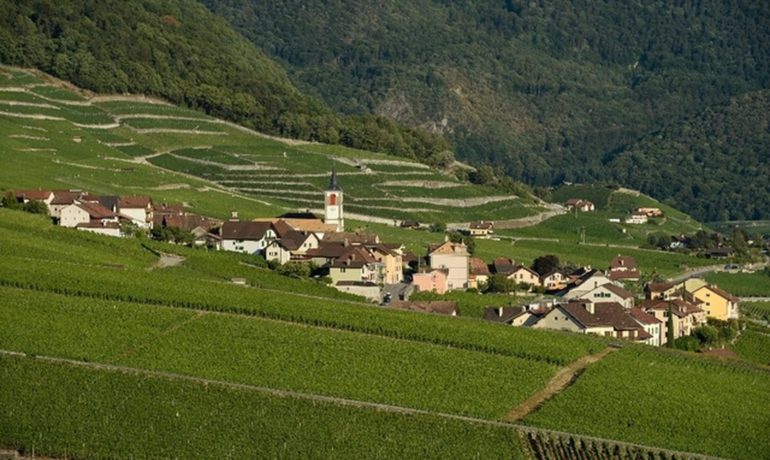 🏘️ Village d’Yvorne