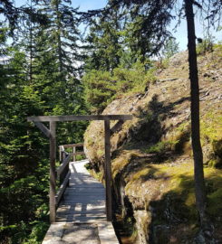 🏞️🌉 Passerelle et Bisse du Rho – Icogne/Crans-Montana