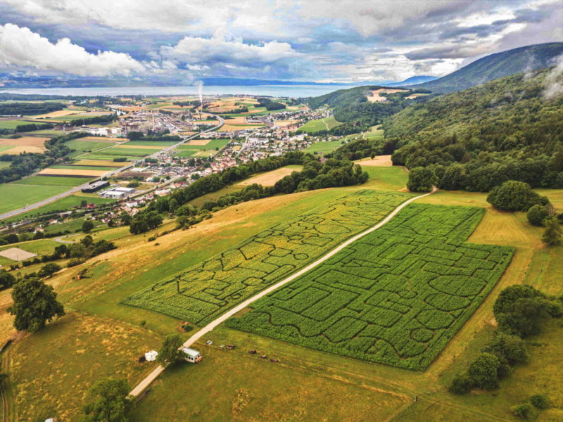 Le labyrinthe en maïs avec le lac de Neuchâtel en arrière-plan