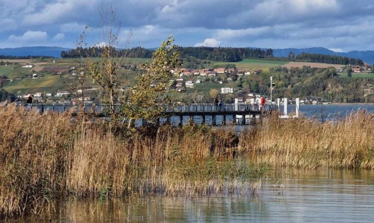 🛳️ Débarcadère de Faoug