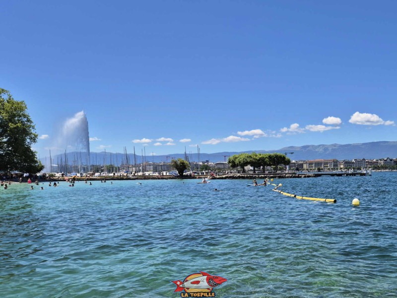 Toute la longueur de la jetée qui mène au débarcadère des Eaux-Vives sur la droite.