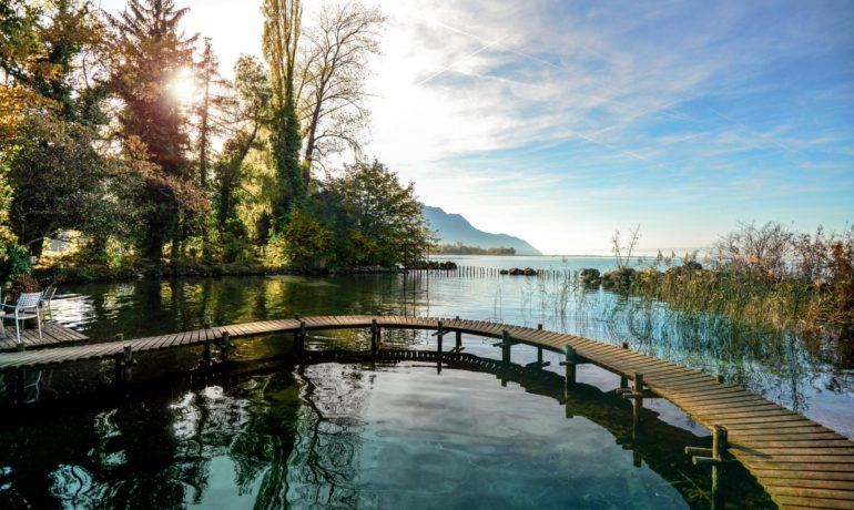 🗼🐦 Réserve Naturelle des Grangettes et Tour d’Observation d’Oiseaux