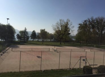 🎾🥎 Tennis Club Grandson