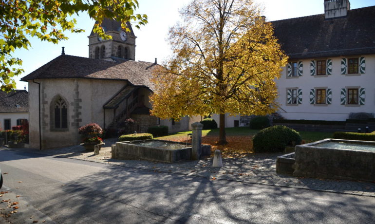 🏘️ Village de Bursins