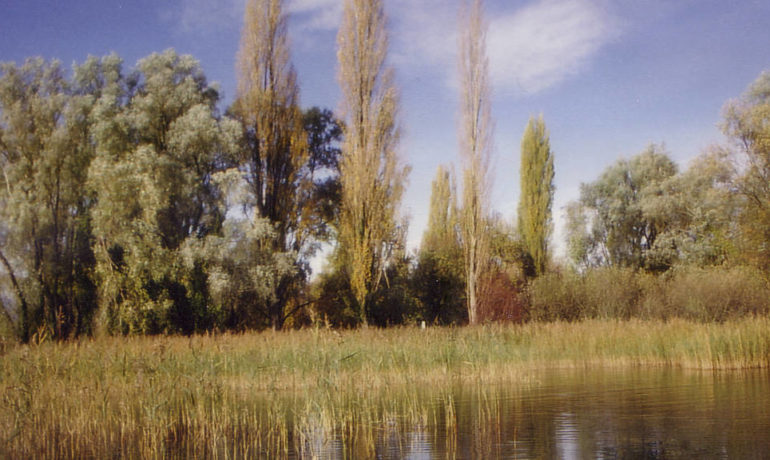 🗼🐦 Centre Nature et Reserve Naturelle de Pointe à la Bise