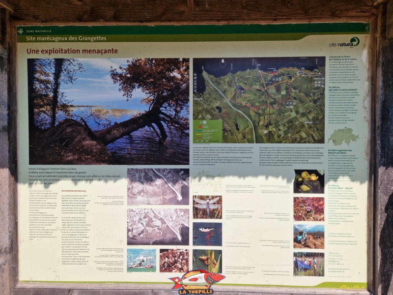 Des panneaux affichés à la plage de Noville qui rappelle que la zone fait partie de la réserve naturelle des Grangettes
