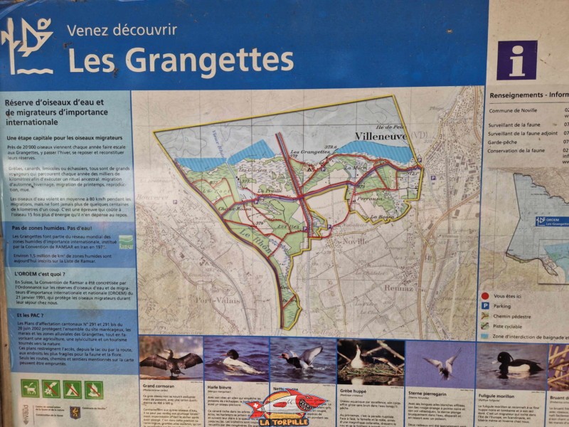 Des panneaux affichés à la plage de Noville qui rappelle que la zone fait partie de la réserve naturelle des Grangettes