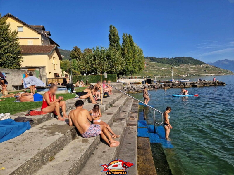 escalier, plage, bains des dames, cully, bourg-en-lavaux escalier, plage, bains des dames, cully, bourg-en-lavaux