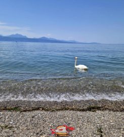 🏖️ Plage des Rives du Lac – Pully