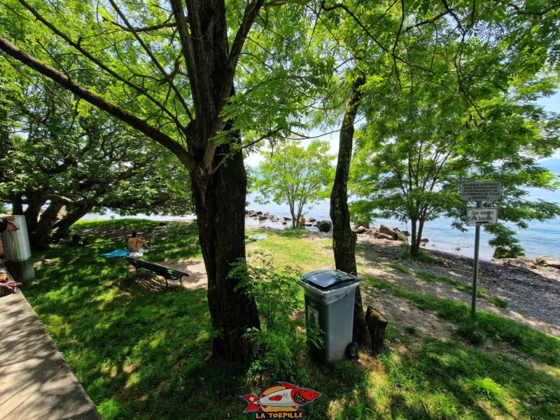  Zone Ouest, plage des rives du lac, Pully, lac Léman.