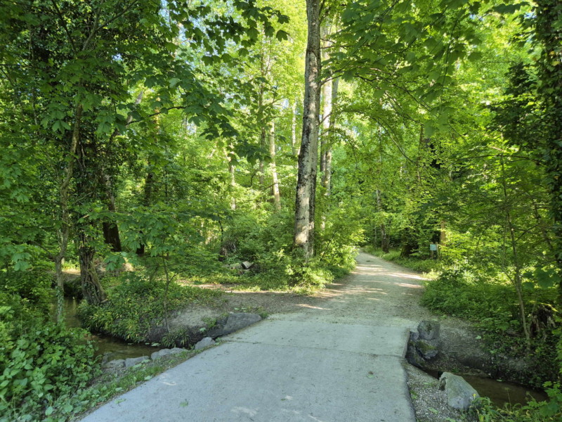 Le passage dans la forêt. Plage de l'embouchure de l'Aubonne, Allaman.