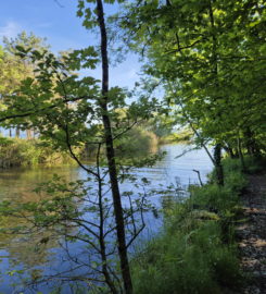 🏖️ Plage de l’Embouchure de l’Aubonne – Allaman