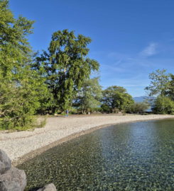 🏖️ Plage de l’Embouchure de l’Aubonne – Allaman