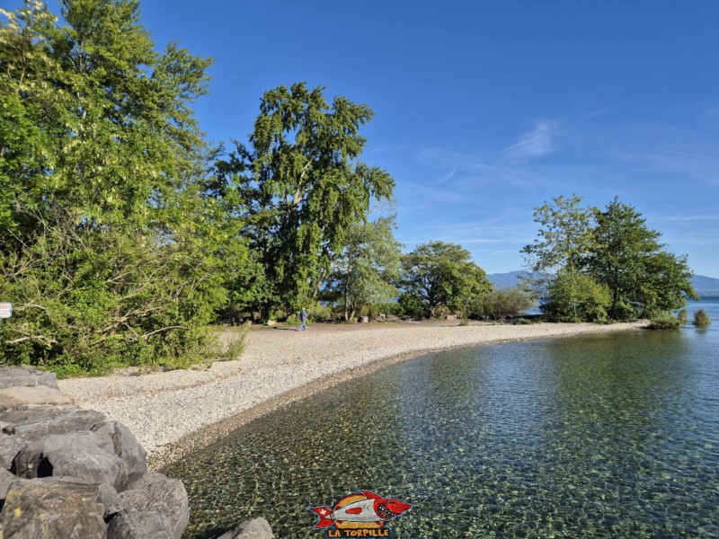 Plage de l'Embouchure de l’Aubonne, Lac, Léman, Allaman