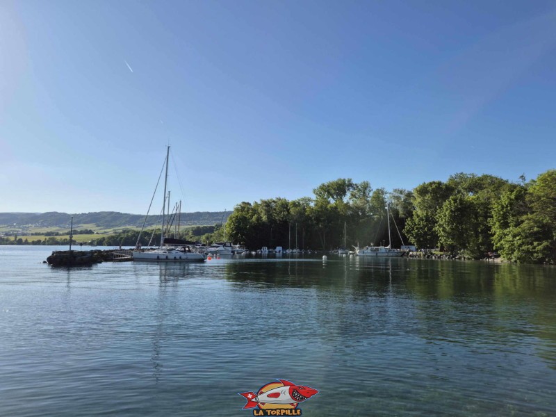 Plage de l'embouchure de l'Aubonne, Allaman. Le port d'Allaman depuis la plage.