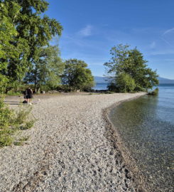 🏖️ Plage de l’Embouchure de l’Aubonne – Allaman