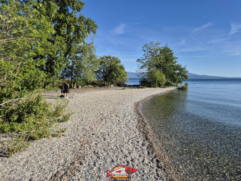 Plage de l'Embouchure de l’Aubonne, Lac, Léman, Allaman