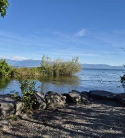 🏖️ Plage de l’Embouchure de l’Aubonne – Allaman