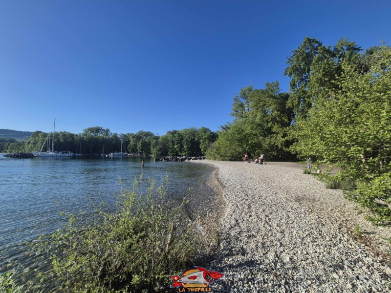 Plage de l'Embouchure de l’Aubonne, Lac, Léman, Allaman