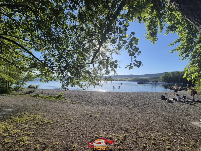 Plage de l'Embouchure de l’Aubonne, Lac, Léman, Allaman