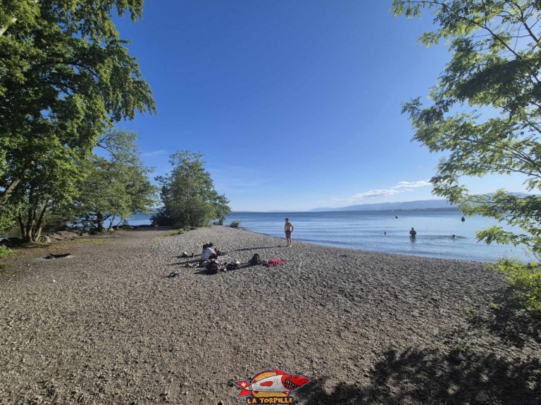 20250516 184151 plage embouchure aubonne allaman