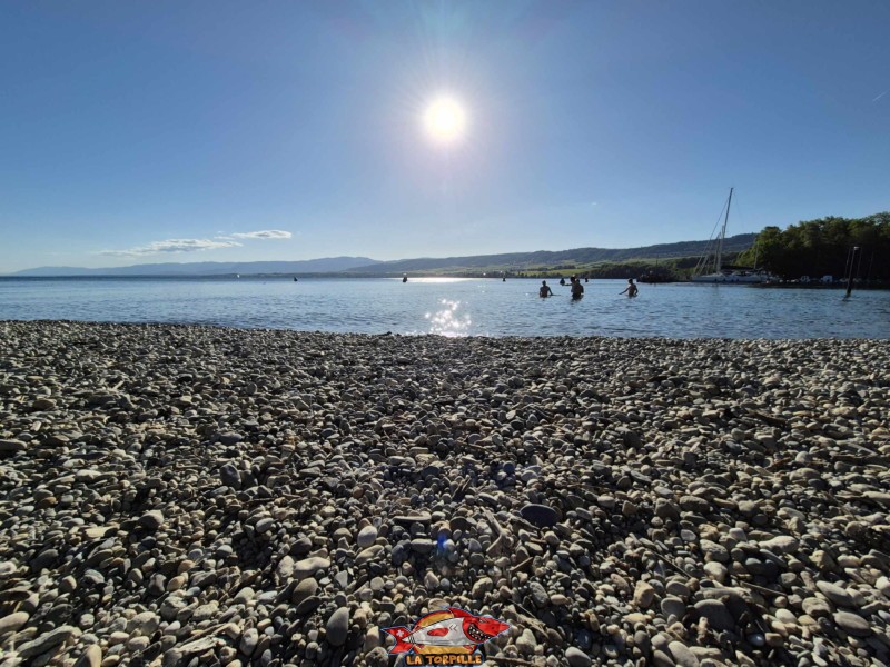 Plage de l'Embouchure de l’Aubonne, Lac, Léman, Allaman