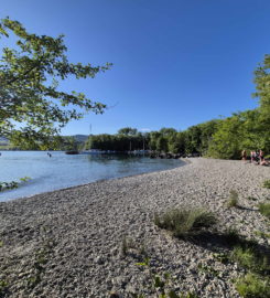 🏖️ Plage de l’Embouchure de l’Aubonne – Allaman