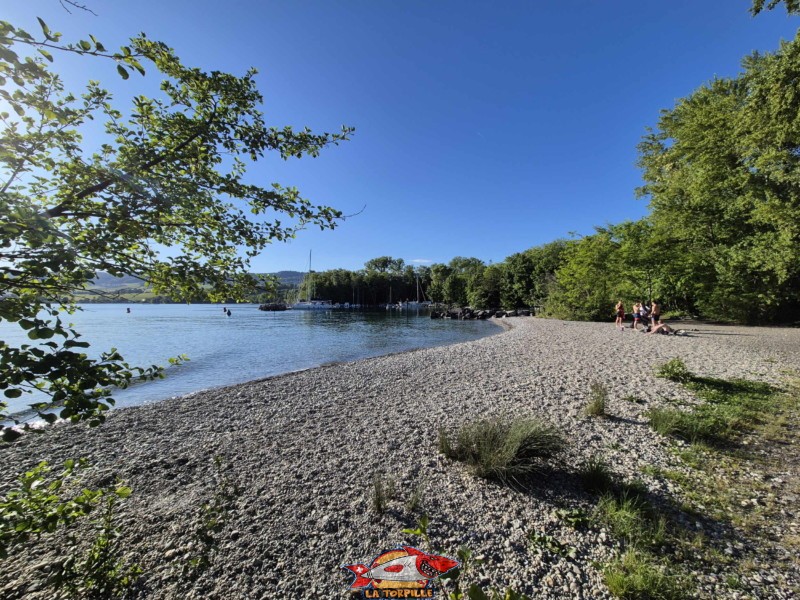 Plage de l'Embouchure de l’Aubonne, Lac, Léman, Allaman