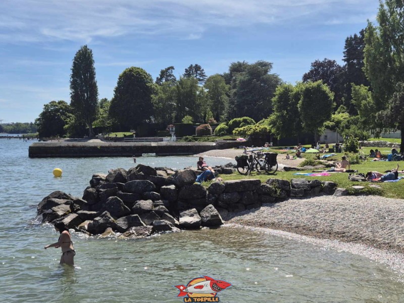Pointe sud. plage de Mies, région de Nyon, bord du Léman. 