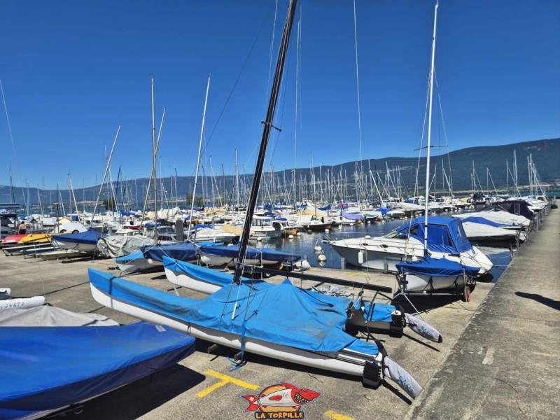 Port d'Yvonand, lac de Neuchâtel. Plage du port d'Yvonand. Lac de Neuchâtel, Canton de Vaud.