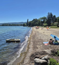 🏖️ Plage du Port d’Yvonand