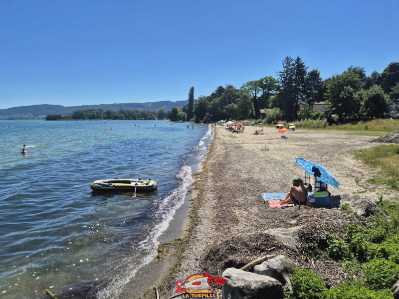 plage du port d'Yvonand depuis le côté ouest. Lac de Neuchâtel, Canton de Vaud.