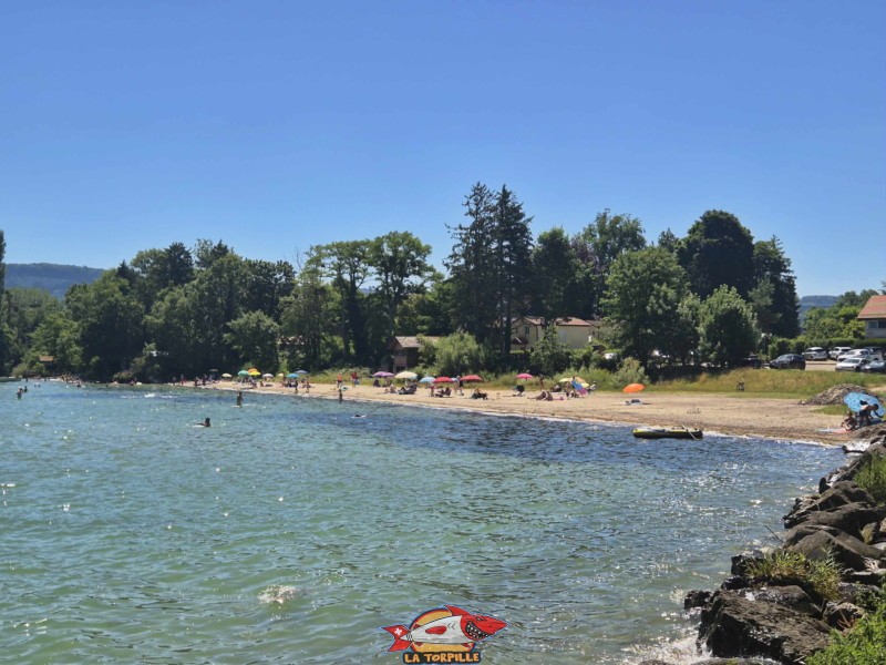 plage du port d'Yvonand depuis le côté ouest. Lac de Neuchâtel, Canton de Vaud.