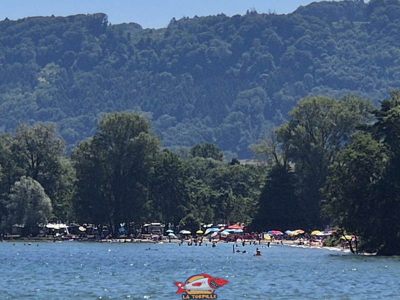 La plage des Pins depuis le port d'Yvonand.