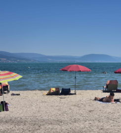 🏖️ Plage du Port d’Yvonand