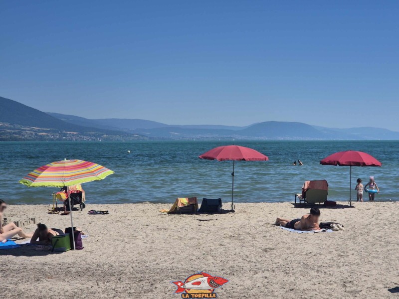 Sable, plage du port d'Yvonand. Lac de Neuchâtel, Canton de Vaud.