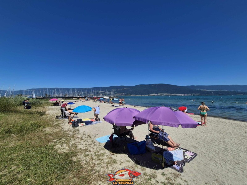 Vue sur la plage du port d'Yvonand. Lac de Neuchâtel, canton de Vaud.