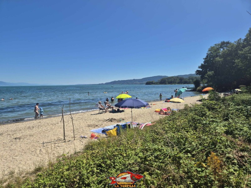 Vue sur la plage du port d'Yvonand. Lac de Neuchâtel, canton de Vaud.