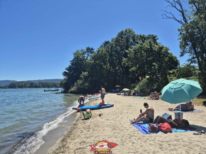 plage du port d'Yvonand depuis le côté est. Lac de Neuchâtel, Canton de Vaud.