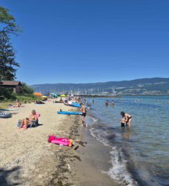 🏖️ Plage du Port d’Yvonand