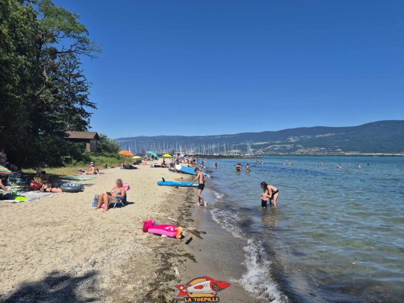 plage du port d'Yvonand depuis le côté est. Lac de Neuchâtel, Canton de Vaud.