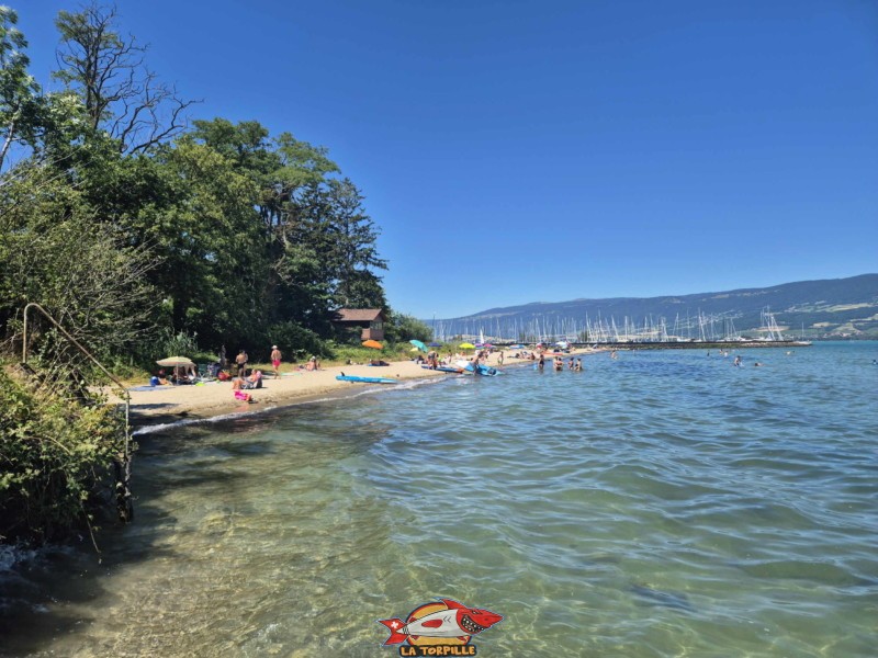 plage du port d'Yvonand depuis le côté est. Lac de Neuchâtel, Canton de Vaud.