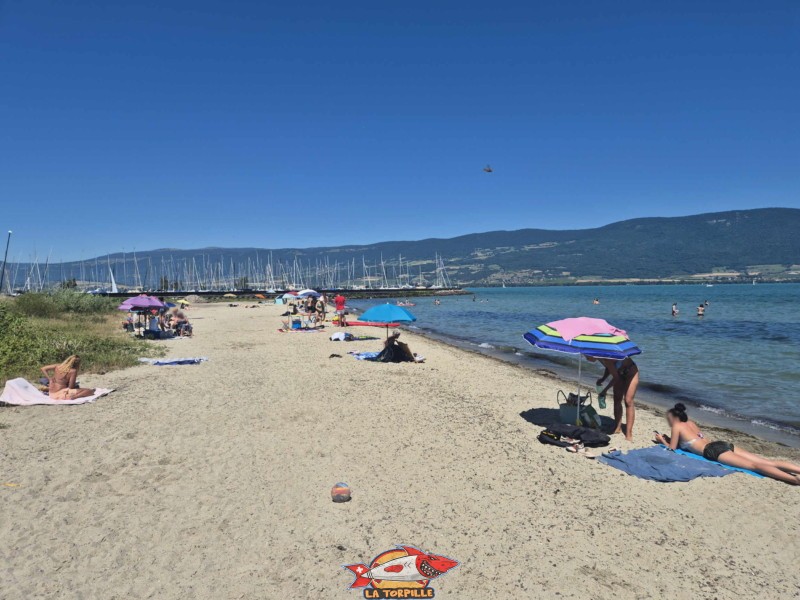 plage du port d'Yvonand depuis le côté est. Lac de Neuchâtel, Canton de Vaud.