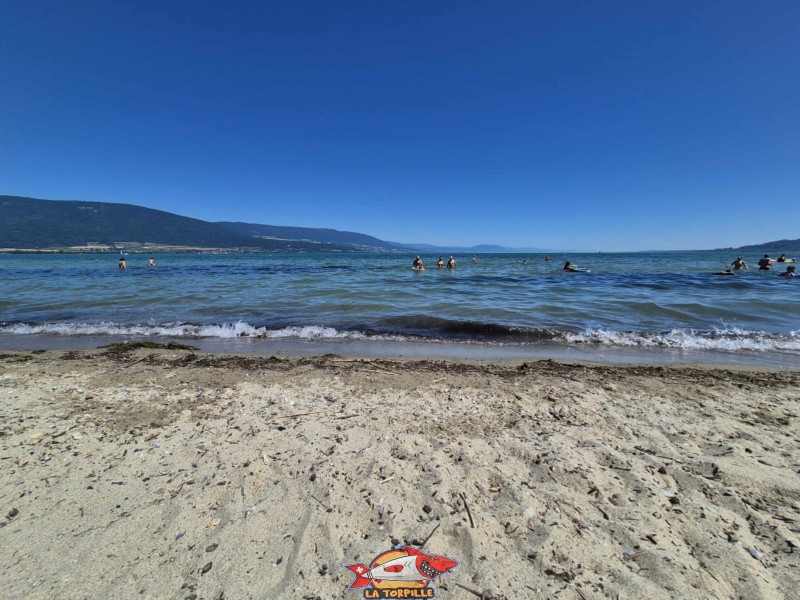 Sable, plage du port d'Yvonand. Lac de Neuchâtel, Canton de Vaud.